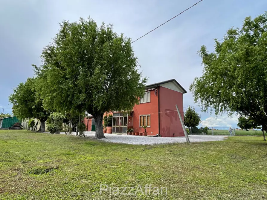 Immagine 7 di Casa indipendente in vendita  in Codevigo Via Vallona a Codevigo