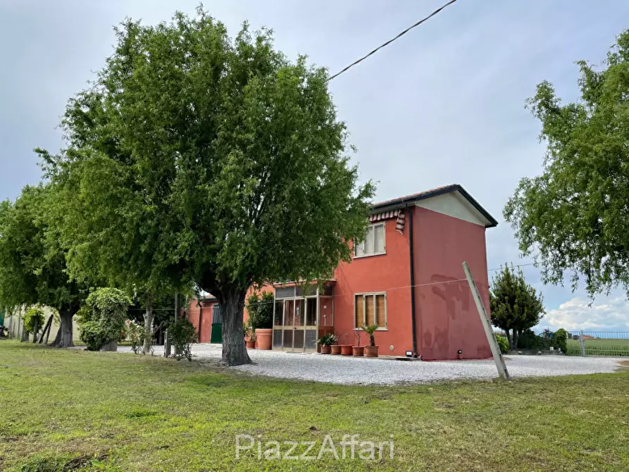 Immagine 8 di Casa indipendente in vendita  in Codevigo Via Vallona a Codevigo