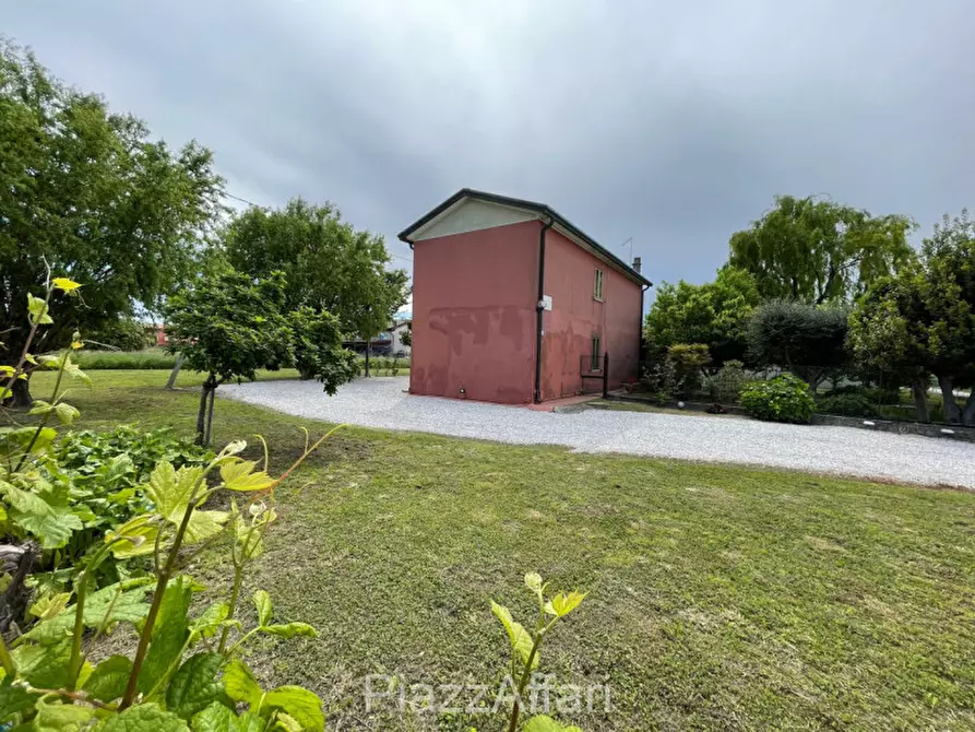 Immagine 12 di Casa indipendente in vendita  in Codevigo Via Vallona a Codevigo