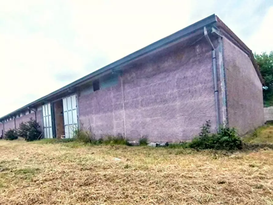 Immagine 3 di Magazzino in vendita  in Contrada Moschetta, N. Snc a Locri