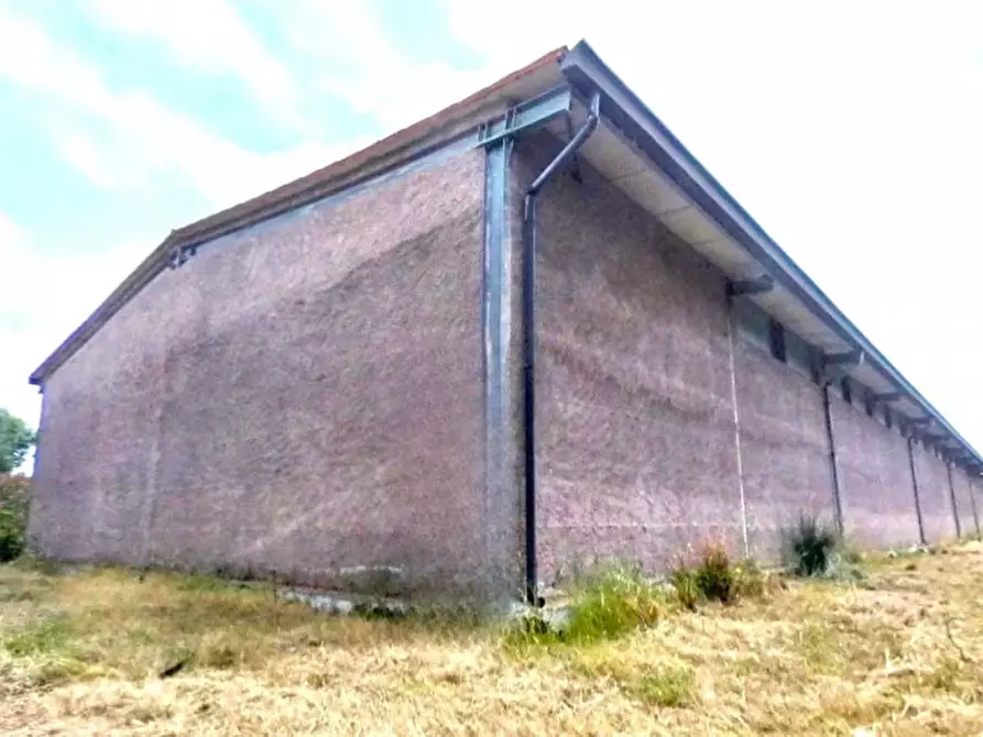 Immagine 5 di Magazzino in vendita  in Contrada Moschetta, N. Snc a Locri