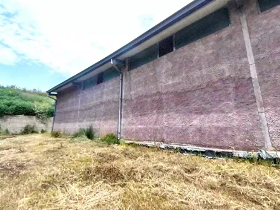 Immagine 7 di Magazzino in vendita  in Contrada Moschetta, N. Snc a Locri