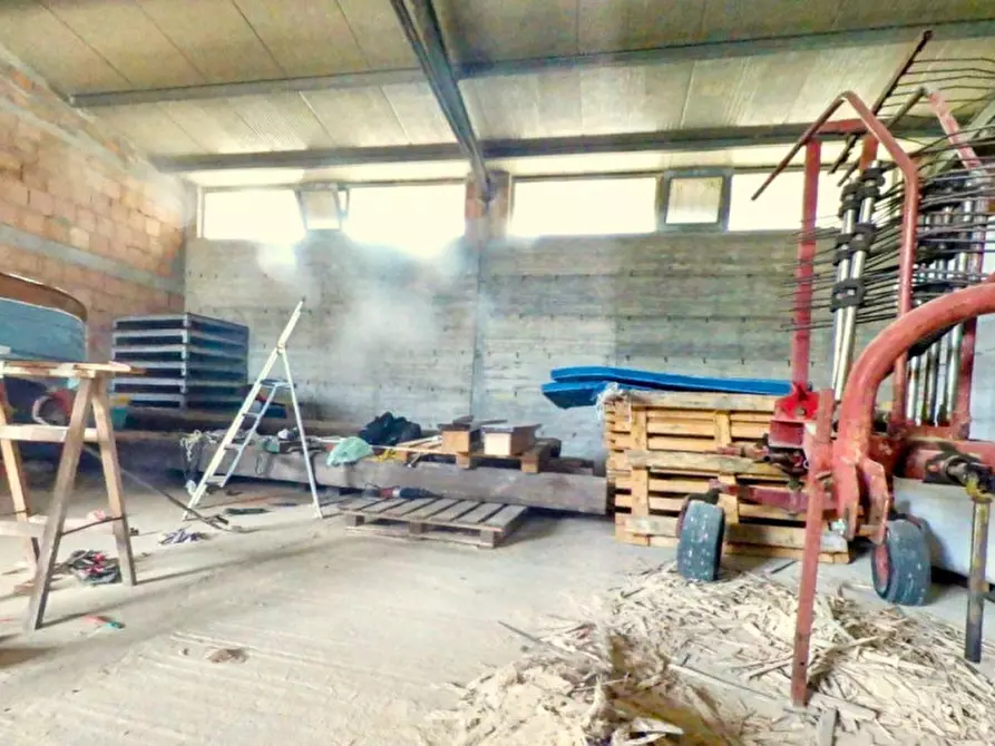 Immagine 8 di Magazzino in vendita  in Contrada Moschetta, N. Snc a Locri