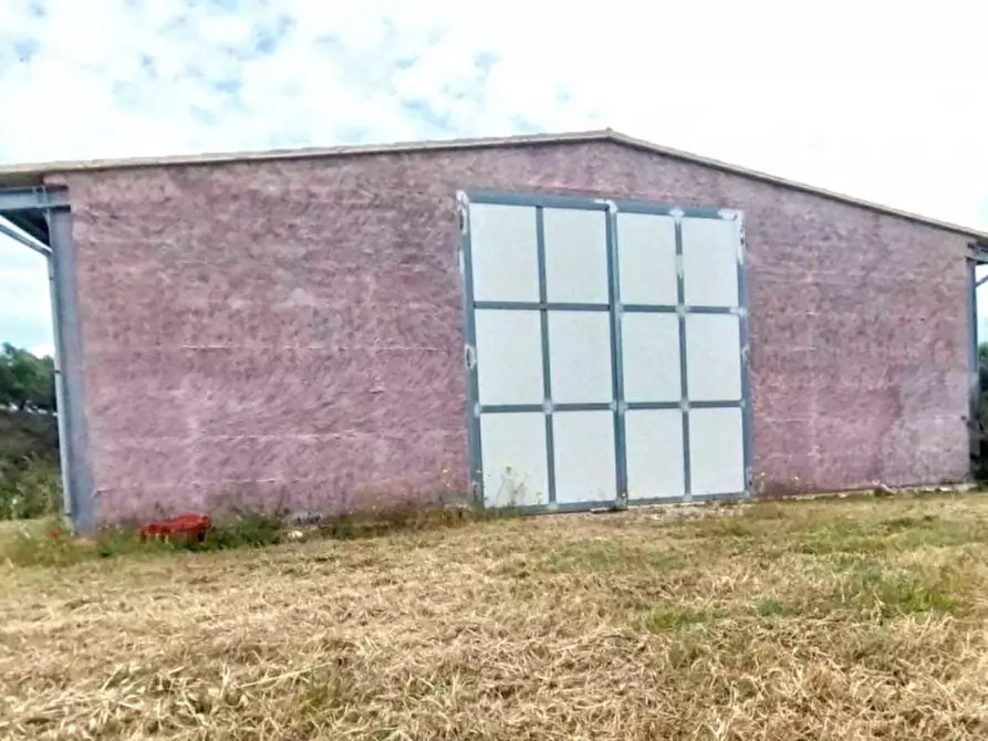 Immagine 9 di Magazzino in vendita  in Contrada Moschetta, N. Snc a Locri