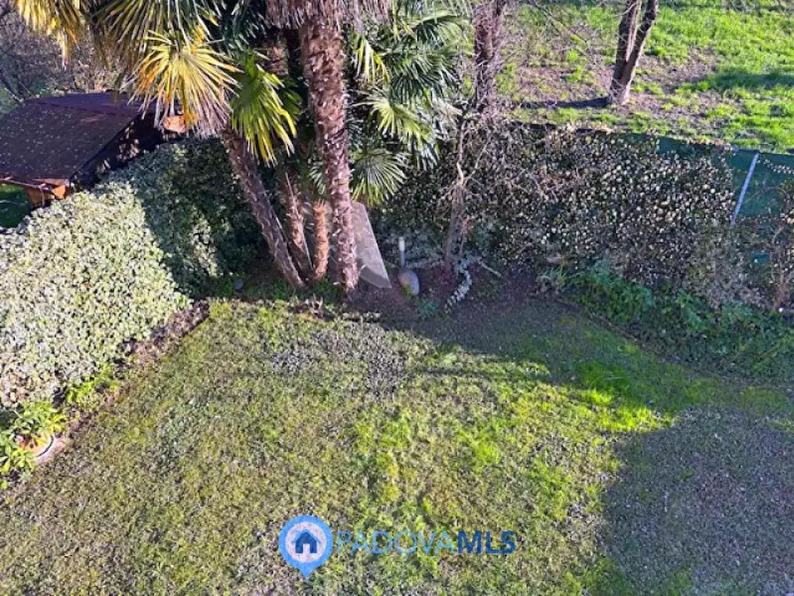 Immagine 15 di Casa bifamiliare in vendita  in Via Venezia a Vigodarzere