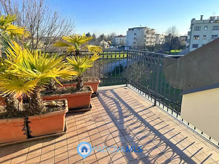 Immagine 28 di Casa bifamiliare in vendita  in Via Venezia a Vigodarzere