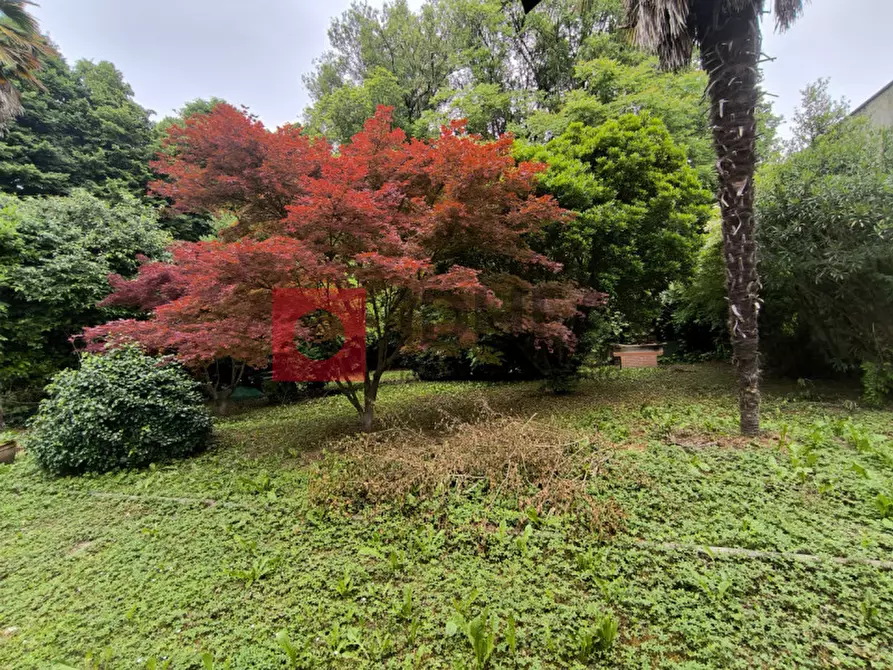 Immagine 3 di Casa indipendente in vendita  a Ponte Di Piave
