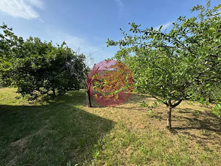 Immagine 25 di Casa indipendente in vendita  a Longiano