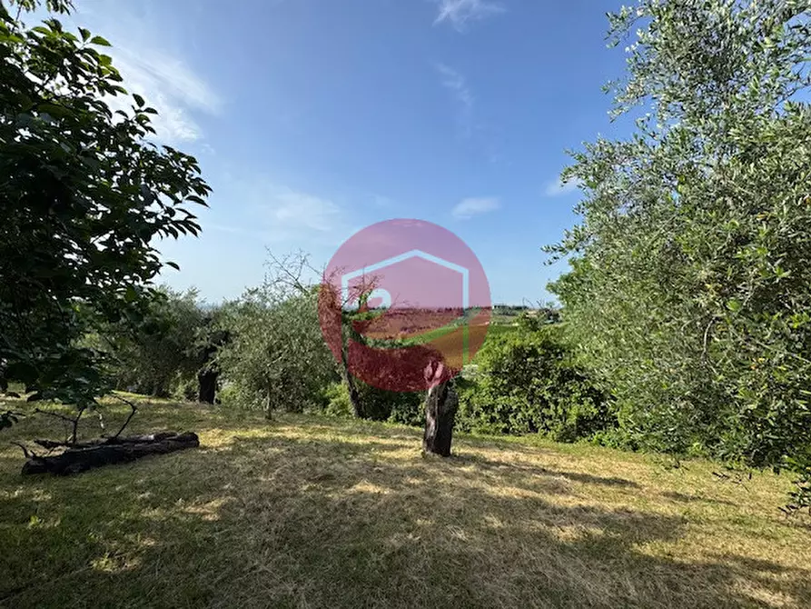 Immagine 26 di Casa indipendente in vendita  a Longiano