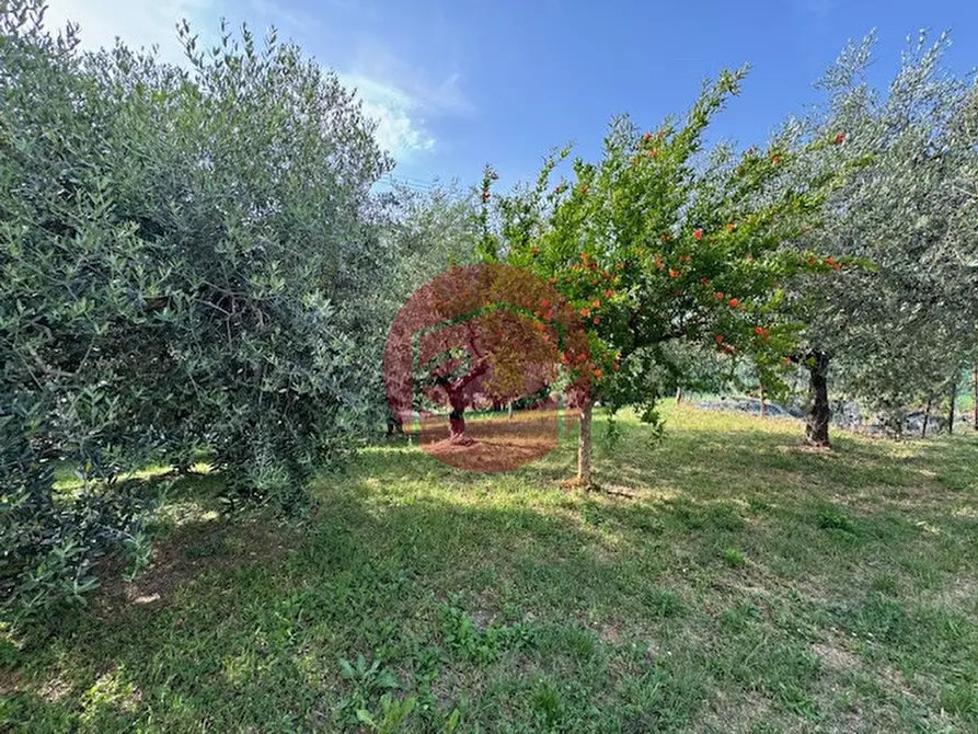 Immagine 27 di Casa indipendente in vendita  a Longiano