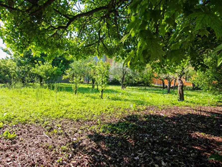 Immagine 9 di Casa indipendente in vendita  in Via Antonio Gramsci 14 a Piove Di Sacco