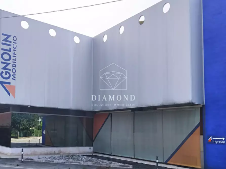 Immagine 1 di Capannone industriale in vendita  in Via Unione a Vedelago