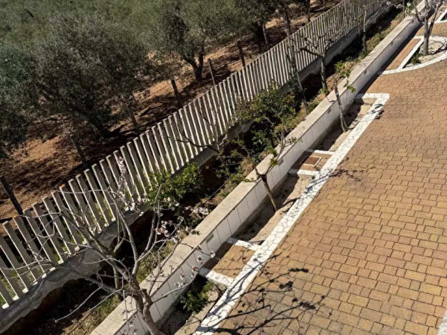 Immagine 12 di Villa in vendita  in Carlo di noi Inferiore a Francavilla Fontana