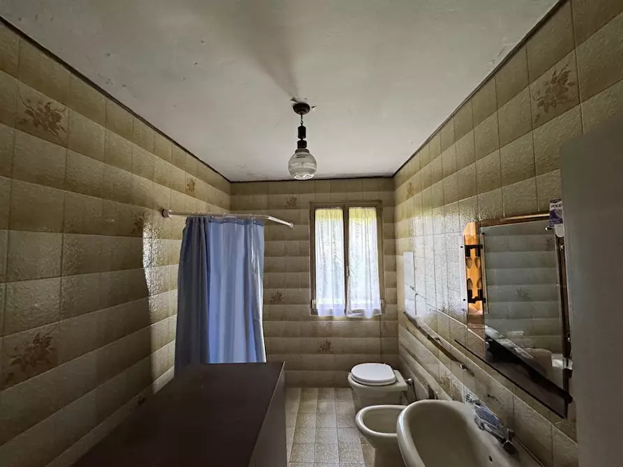 Immagine 14 di Casa bifamiliare in vendita  a Vigonovo