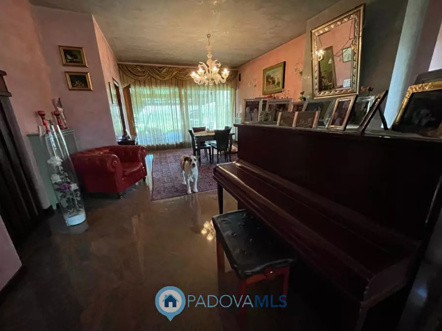 Immagine 16 di Casa indipendente in vendita  in Via Monte Cengio a Vigonza