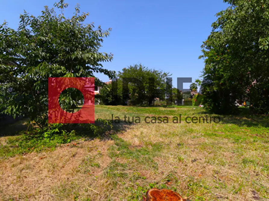 Immagine 4 di Terreno in vendita  in COMUNE DI POVEGLIANO a Povegliano