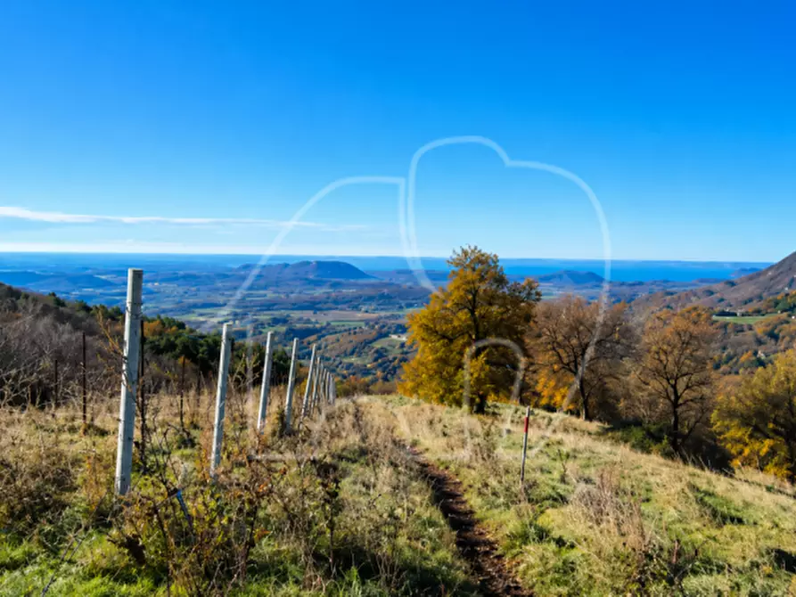 Immagine 2 di Terreno in vendita  a Caprino Veronese