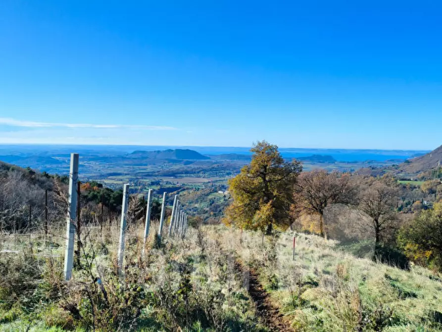 Immagine 2 di Terreno in vendita  a Caprino Veronese