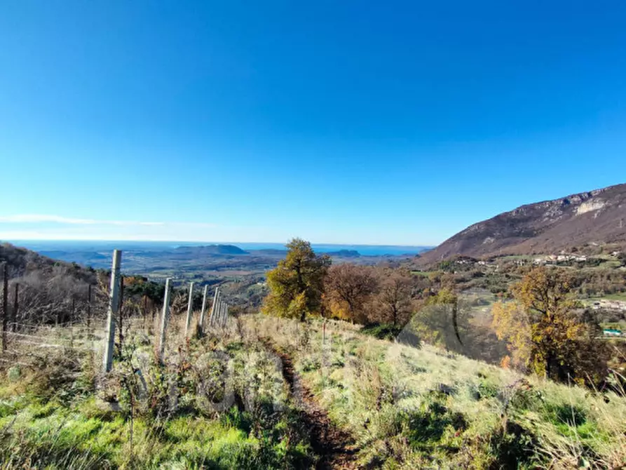 Immagine 3 di Terreno in vendita  a Caprino Veronese