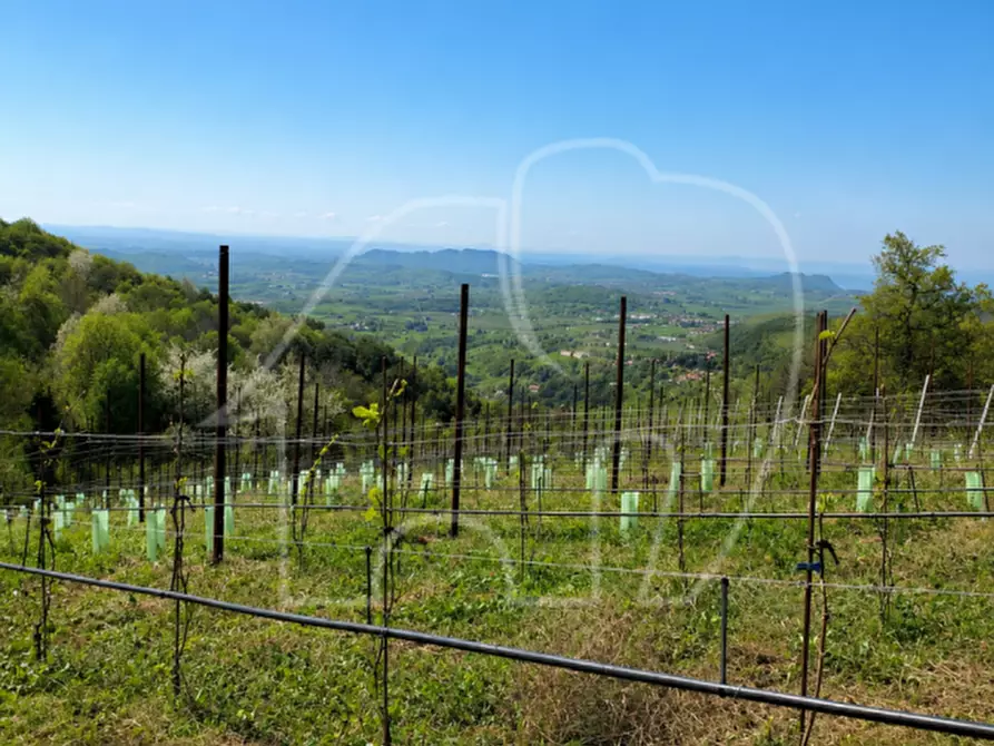 Immagine 6 di Terreno in vendita  a Caprino Veronese