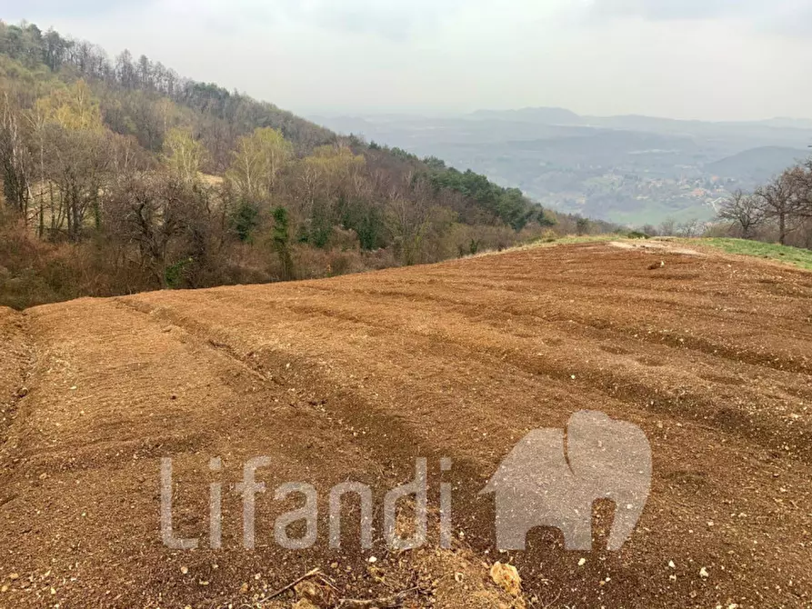 Immagine 8 di Terreno in vendita  a Caprino Veronese