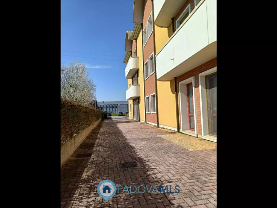 Immagine 9 di Ufficio in vendita  in via vigonovese 145 a Noventa Padovana