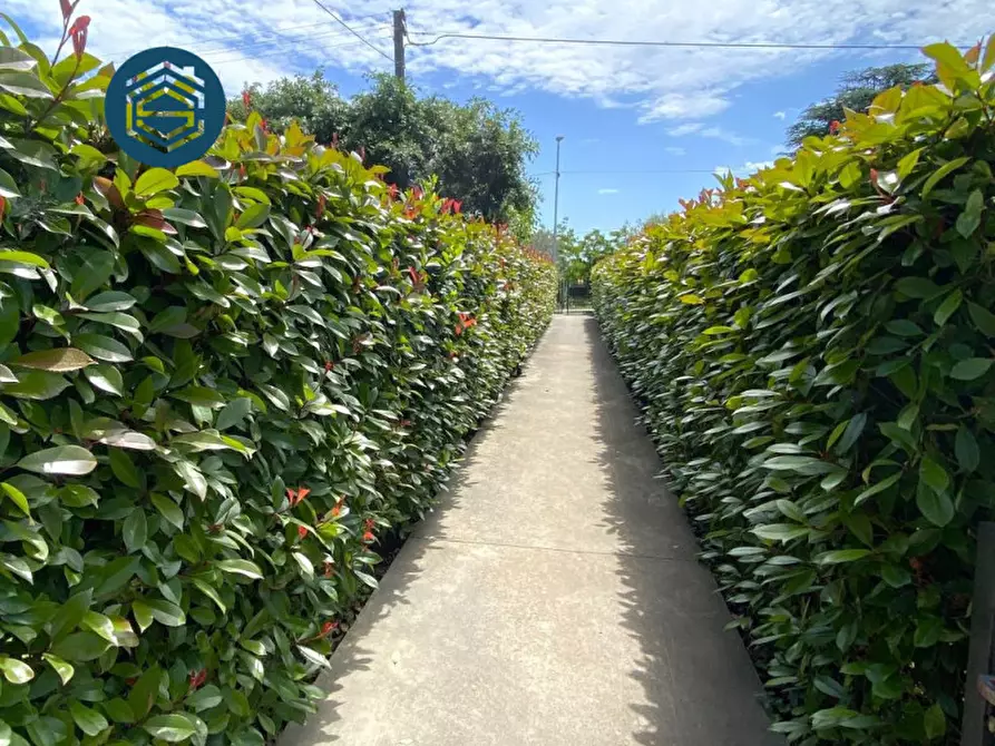 Immagine 4 di Appartamento in vendita  in via fornello 76 a Campi Bisenzio