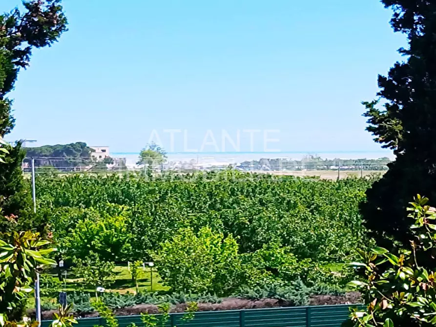 Immagine 20 di Appartamento in vendita  in Viale Paola a Riccione