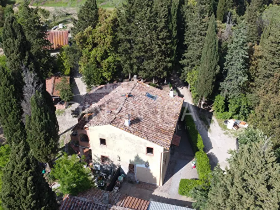 Immagine 1 di Rustico / casale in vendita  a Palaia