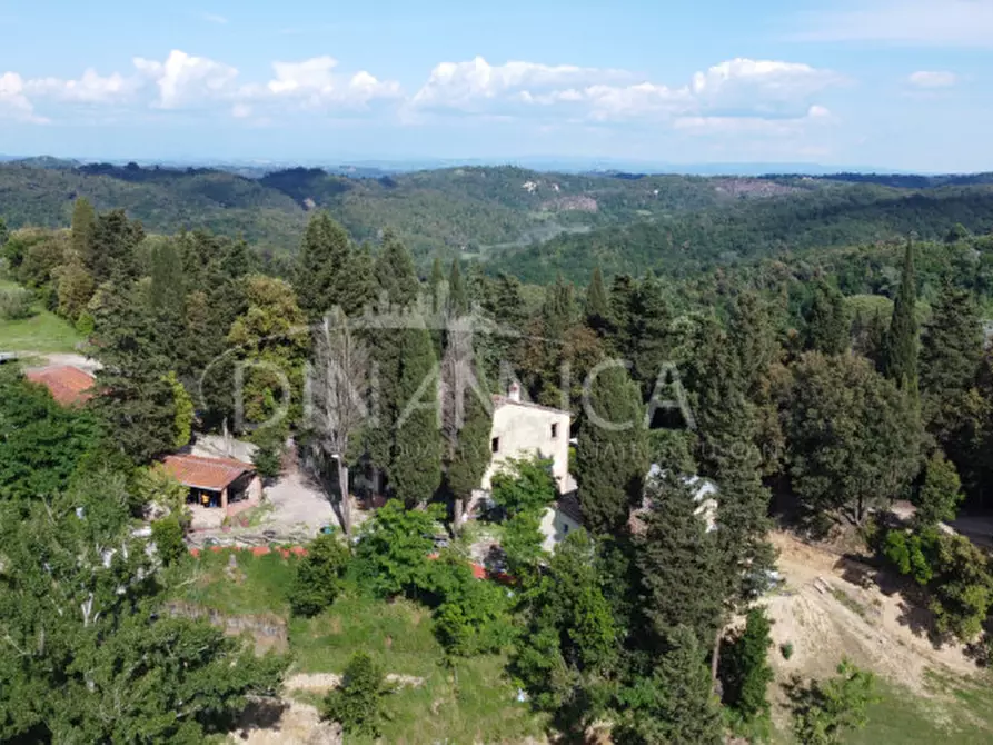 Immagine 6 di Rustico / casale in vendita  a Palaia