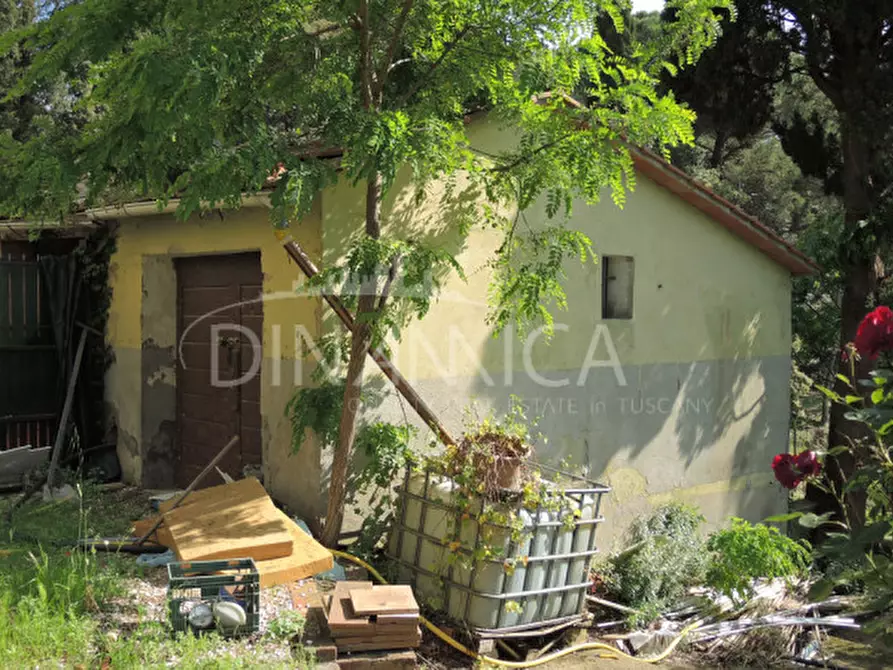 Immagine 9 di Rustico / casale in vendita  a Palaia