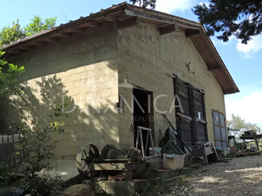 Immagine 10 di Rustico / casale in vendita  a Palaia