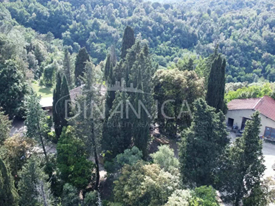 Immagine 25 di Rustico / casale in vendita  a Palaia