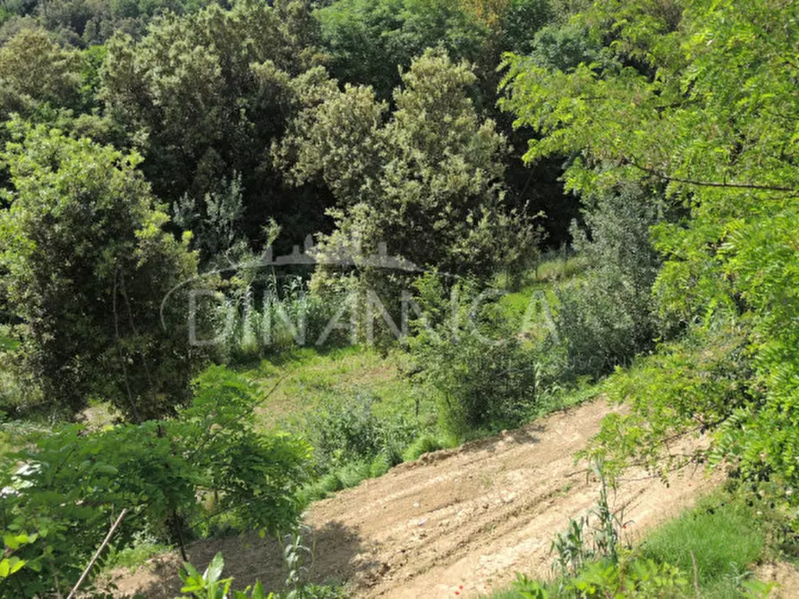 Immagine 26 di Rustico / casale in vendita  a Palaia