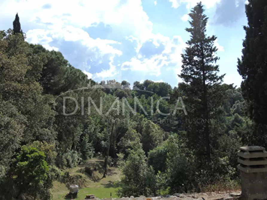 Immagine 27 di Rustico / casale in vendita  a Palaia