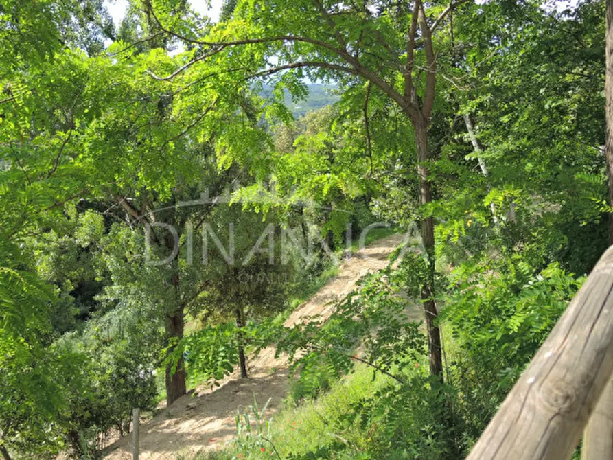 Immagine 28 di Rustico / casale in vendita  a Palaia