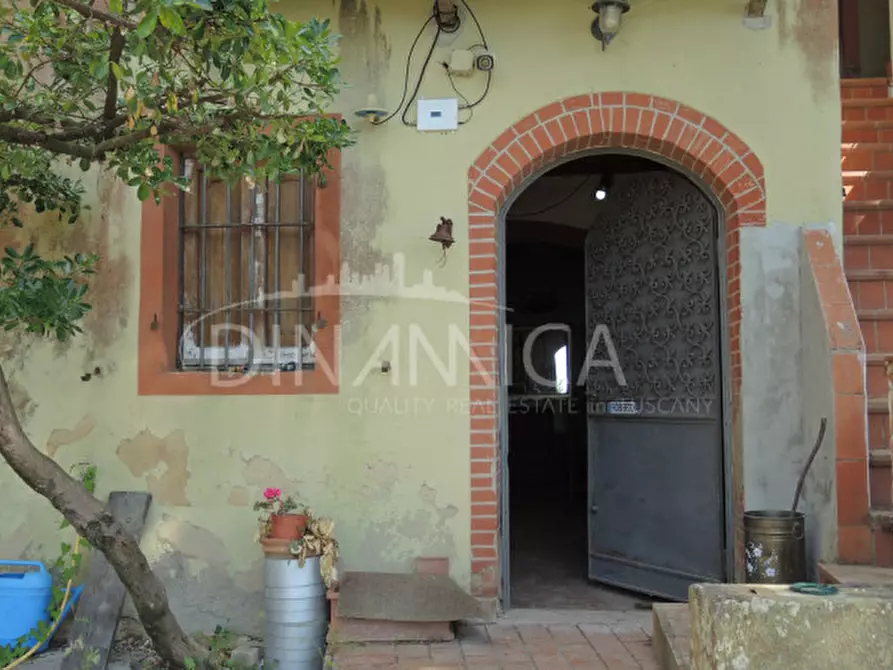 Immagine 30 di Rustico / casale in vendita  a Palaia