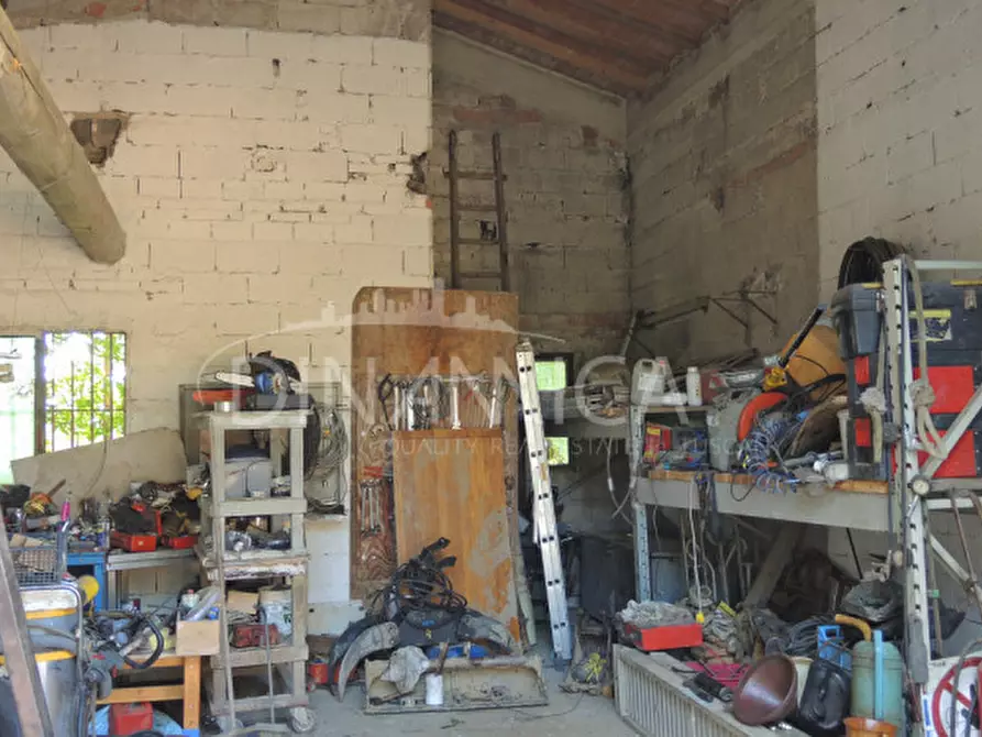 Immagine 35 di Rustico / casale in vendita  a Palaia