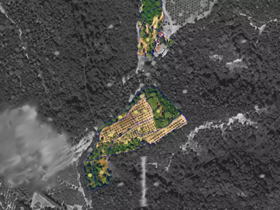 Immagine 39 di Rustico / casale in vendita  a Palaia