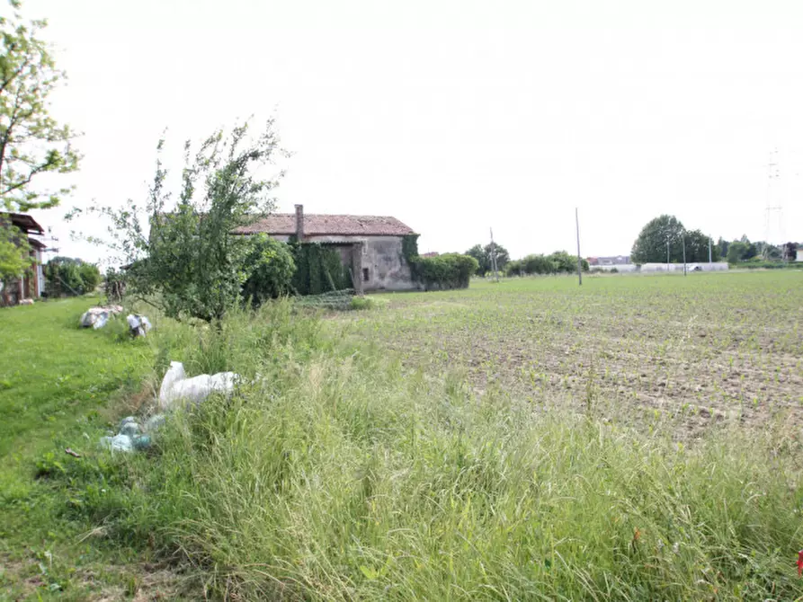 Immagine 4 di Terreno in vendita  in Via Carraretto a Pianiga