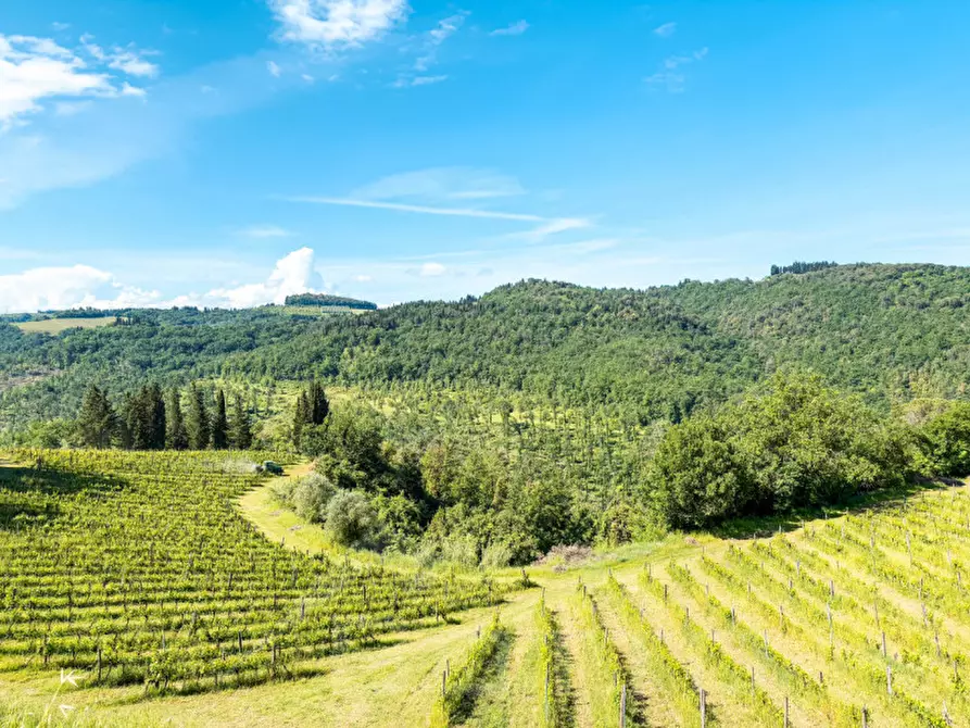 Immagine 2 di Villa in vendita  in via di Pulica 6 a Montelupo Fiorentino