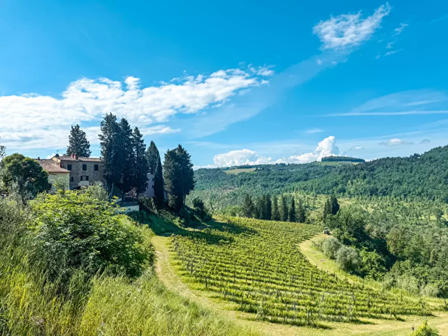 Immagine 24 di Villa in vendita  in via di Pulica 6 a Montelupo Fiorentino