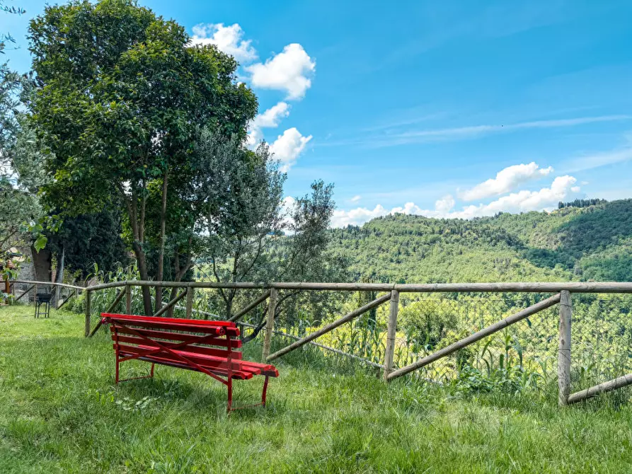 Immagine 43 di Villa in vendita  in via di Pulica 6 a Montelupo Fiorentino