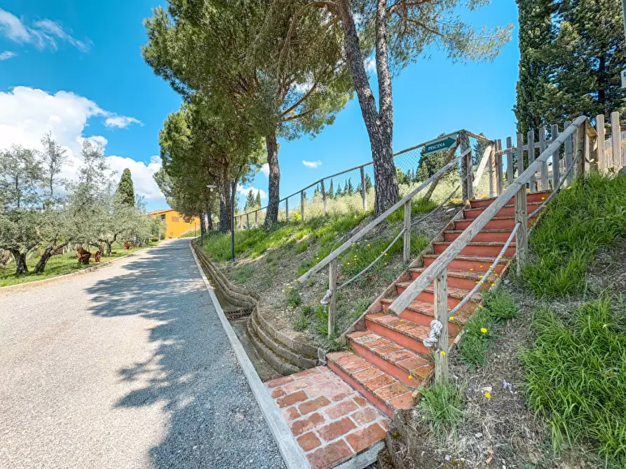 Immagine 76 di Villa in vendita  in via di Pulica 6 a Montelupo Fiorentino