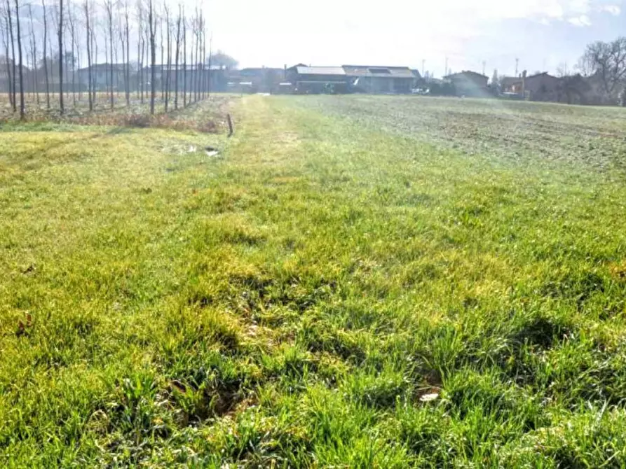 Immagine 5 di Terreno in vendita  in Via Chiesa, 35010 Tavo PD, Italia a Vigodarzere