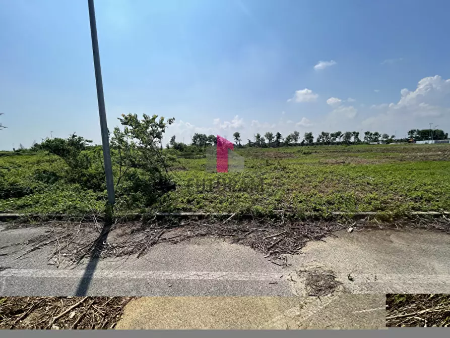 Immagine 23 di Terreno in vendita  in Via dell'industria a Vigonovo