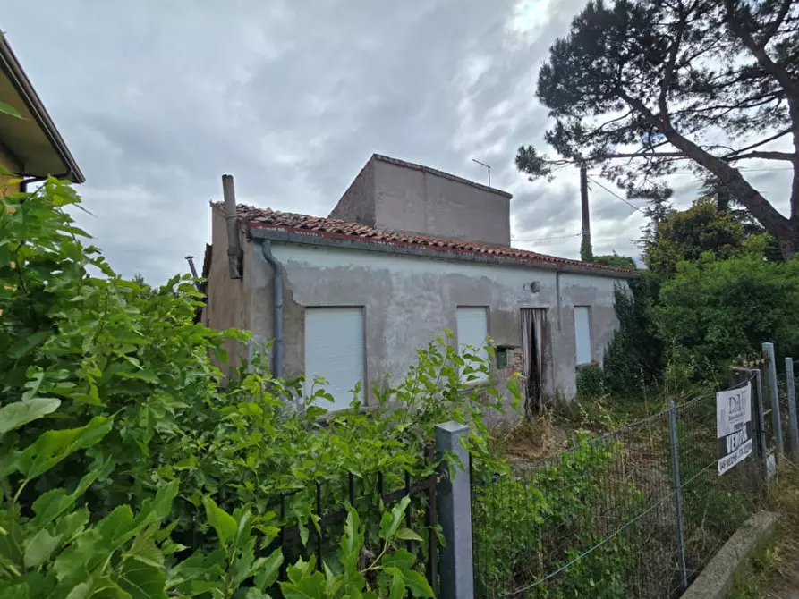 Immagine 3 di Casa indipendente in vendita  in Agna a Agna