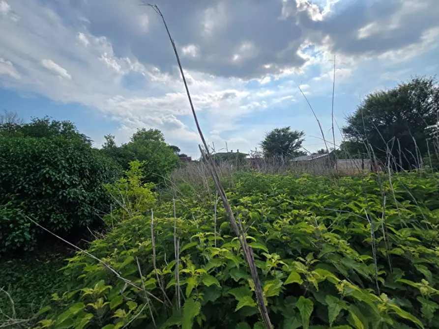 Immagine 15 di Casa indipendente in vendita  in Agna a Agna