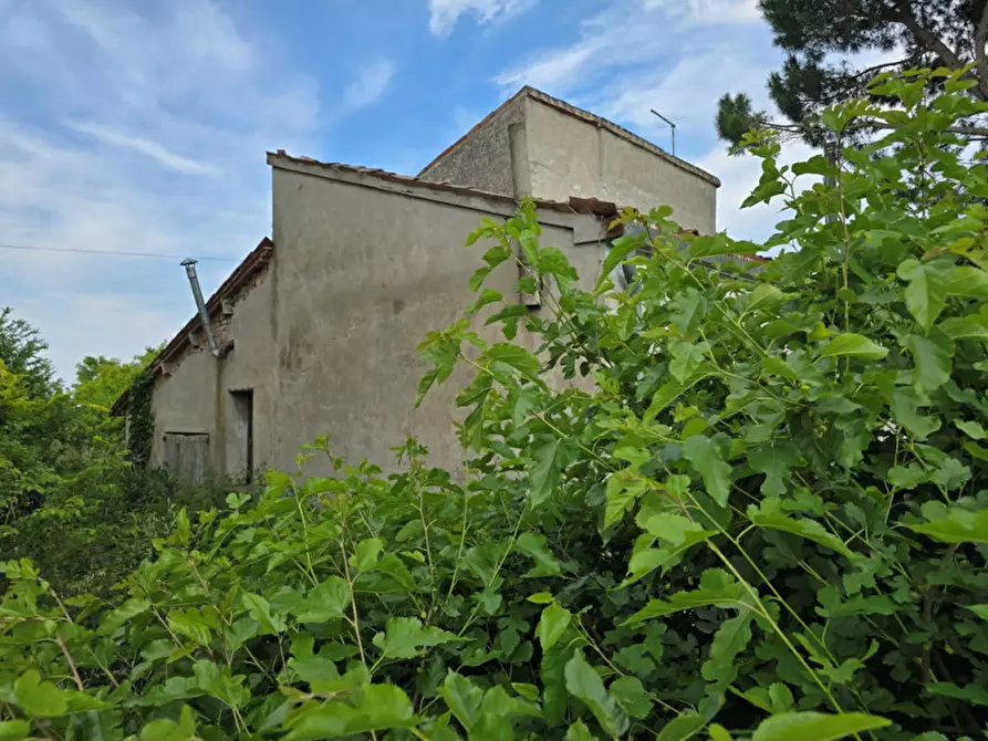 Immagine 17 di Casa indipendente in vendita  in Agna a Agna