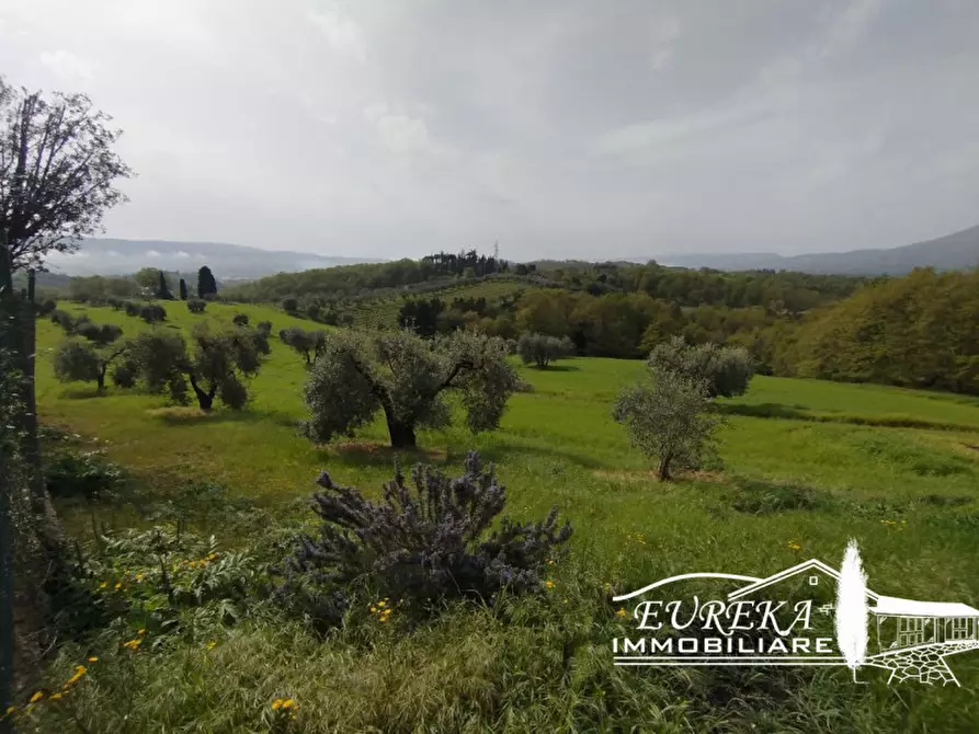 Immagine 8 di Terreno in vendita  in via gonzarelli a Chiusi